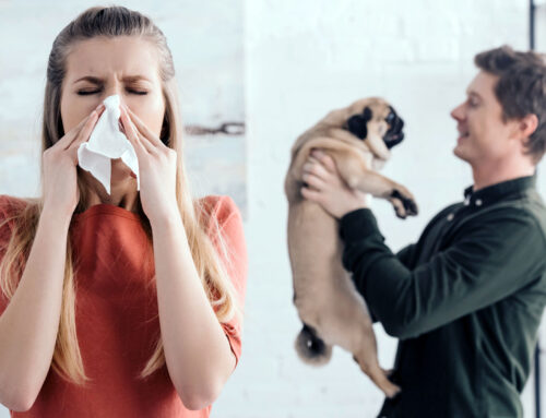 7 Tips to Combat Pet Allergies