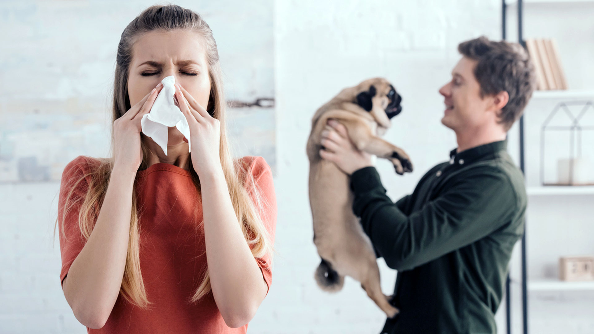 combat pet allergies, allergies from pets, allergies and pets, pet dander allergy